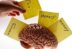 brain-memory-e1297296774705