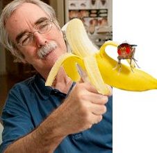 fly_banana2