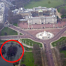 thefix_buckhouseisland