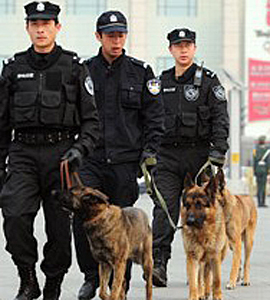 thefix_chinese-police