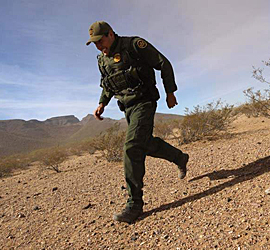 border-agent-fix