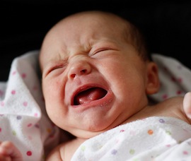 3619415104_11abd5b52c