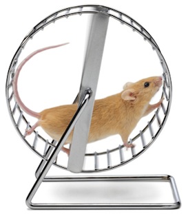 mouse-on-wheel