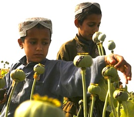 8AEB416F-45ED-4624-BC2A-35BC2F9B983B_mw800_s