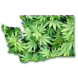 WashingtonMarijuana
