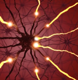 neuron
