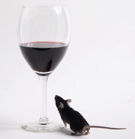 mouse_wine