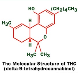 marijuana-thc-molecule