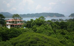 SIZED MR Whole Recovery