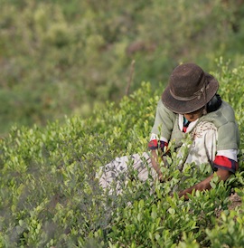 20081031234906_lenkaslens_20080221_02