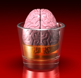 Brain-in-Alcohol