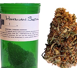 hawaii-weed