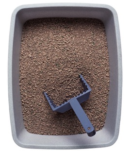 Side-Effects-of-Cat-Litter