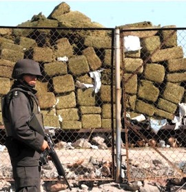 mexico_drug_war3_30954s