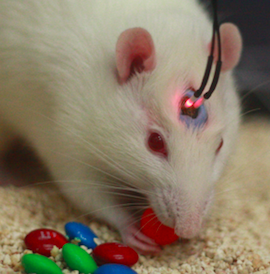 Screen Shot 2013-04-04 at 10