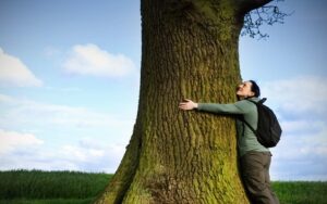 shutterstock_100119878