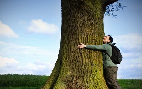 shutterstock_100119878