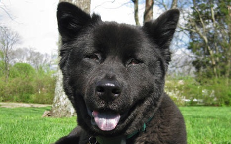 2009040423848_IMG_1397