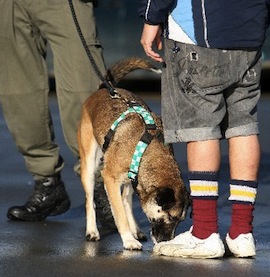 Drug_sniffer_dog_fct447x417x95_t460