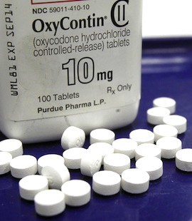 ap688498854190-1a854301544d2cd6c2fb4b56c22fa87633467c02-s4