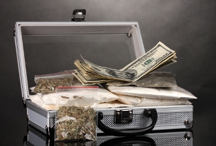 potsuitcase