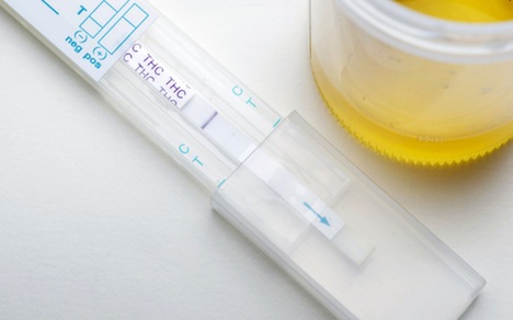 shutterstock_125330942