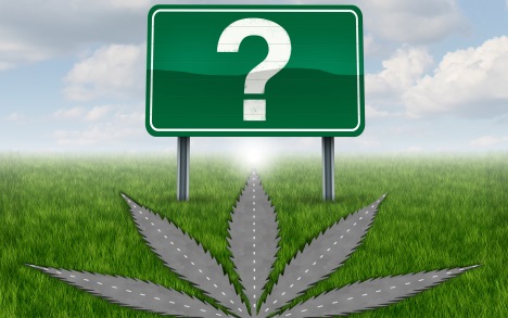cannaquestion