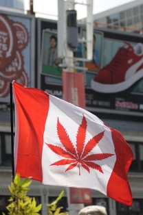 pot canada