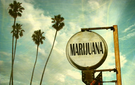 marijuanasign