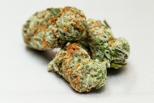 medical buds