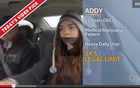 stoneddrivingvideo