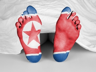 dead north korea