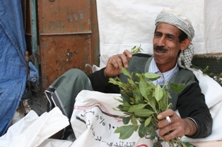 man eating khat