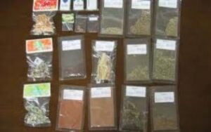 loophole drugs japan