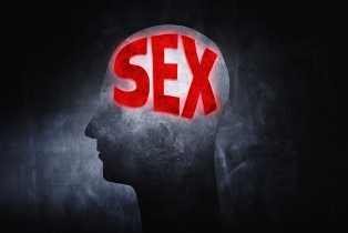 sex brain