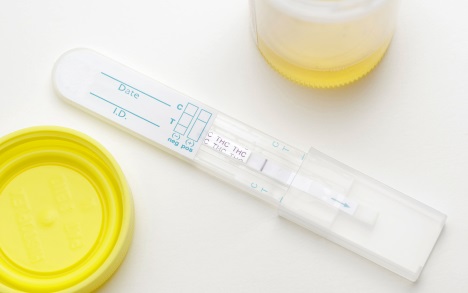 drugtestthc