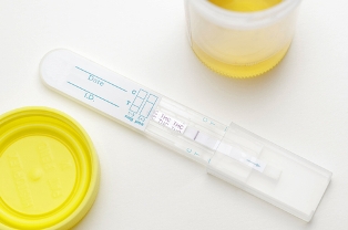 drug test kit urine
