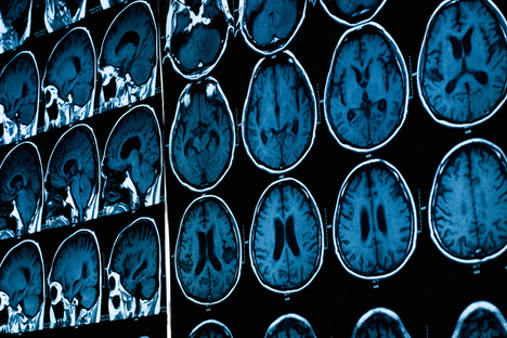 shutterstock_210047401