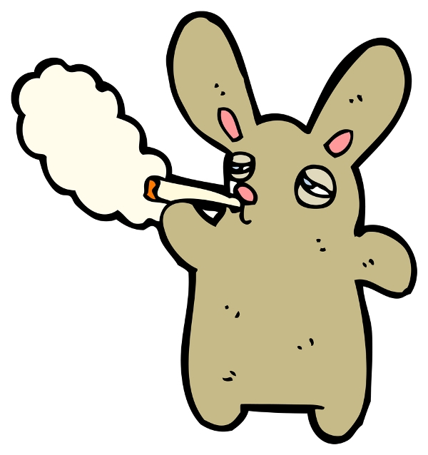 stoned bunny