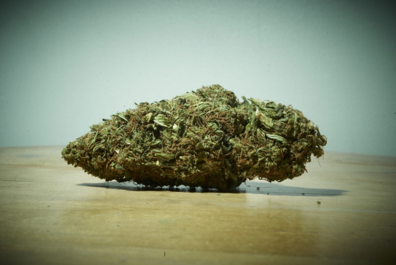 marijuana bud closeup