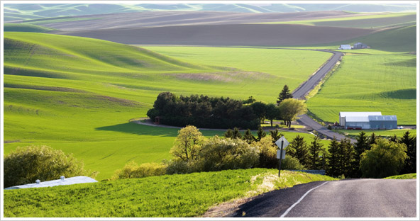 Northwest Counseling and Wellness Center