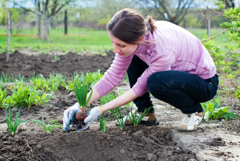 woman gardening