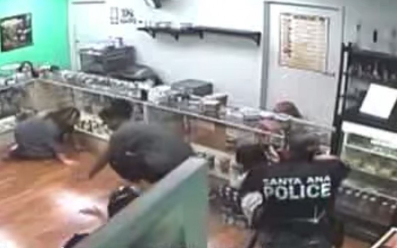 santa ana cops edibles
