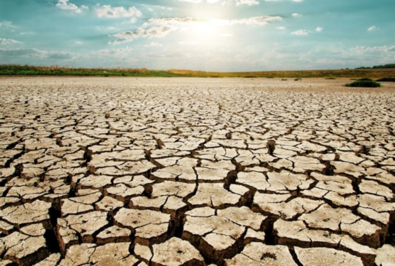 cracked earth drought