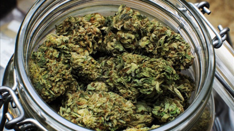 marijuana buds jar
