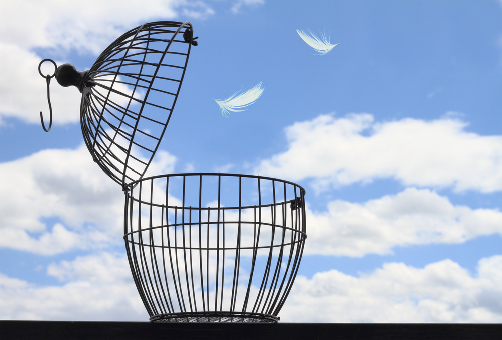 The Anti-Recidivism Coalition