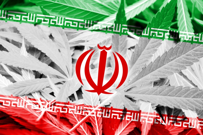 iran flag pot leaves