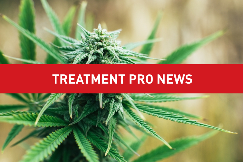 How far did the association go in its support of legalizing marijuana?