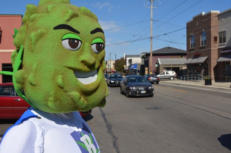 marijuana buddie profile