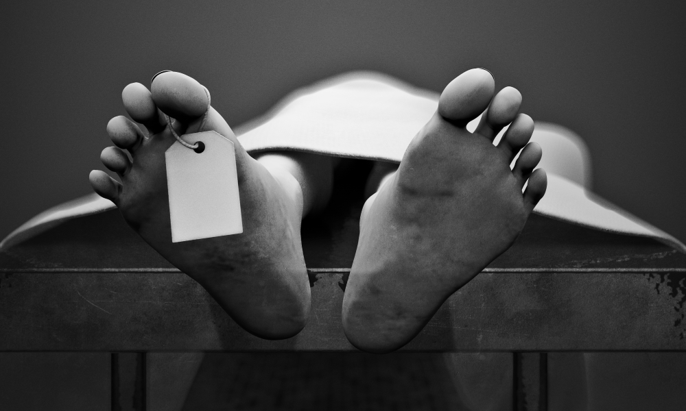 The Real Culprits in Rising White Mortality